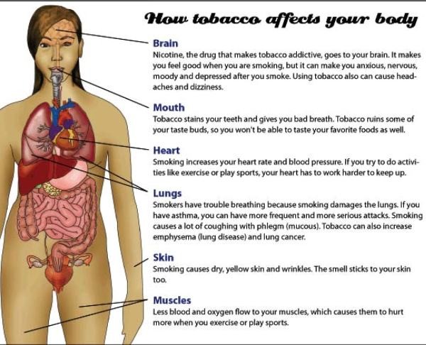 Effect Of Smoking On Heart Pdf